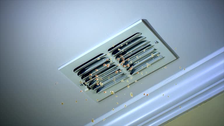 Best General Air Duct Cleaning  in Dallas Center, IA